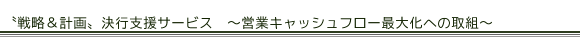 헪v懁sxT[rX@`cƃLbVt[ő剻ւ̎g` 